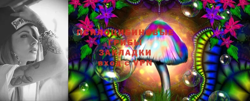 Галлюциногенные грибы Psilocybine cubensis  Невельск 